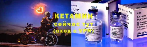 гидра Горняк