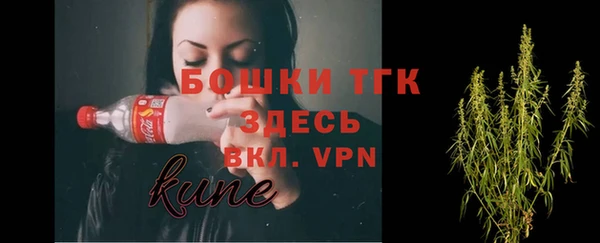 гидра Горняк