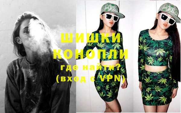 гидра Горняк