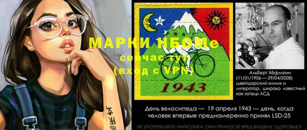 гидра Горняк