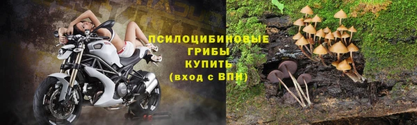 гидра Горняк