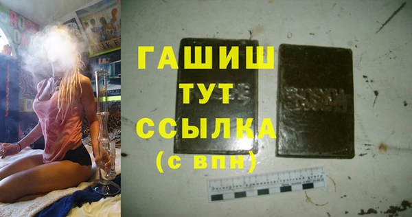 гидра Горняк